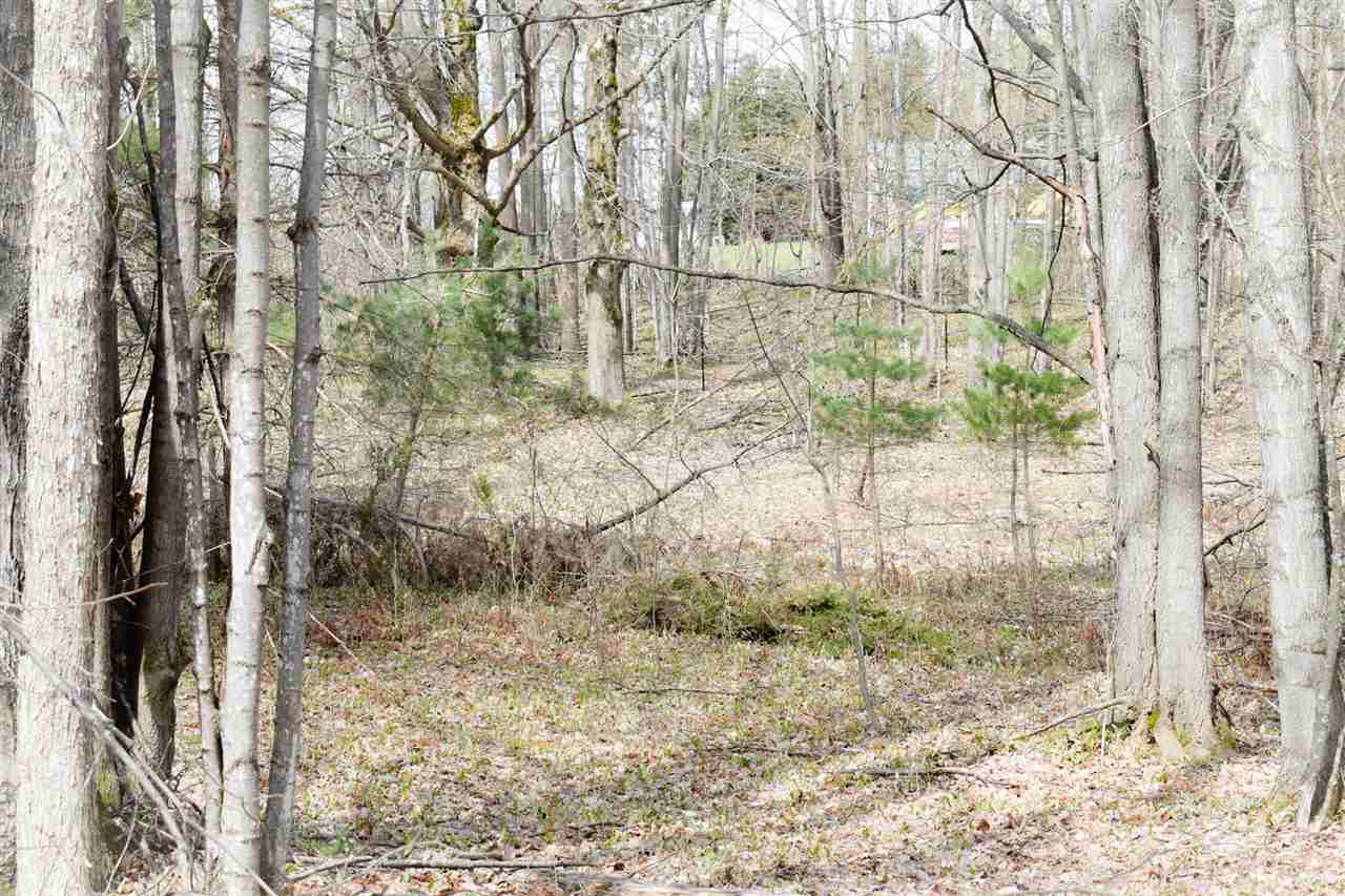 Tbd (Vacant) W Clute Road Boyne City MI 49712