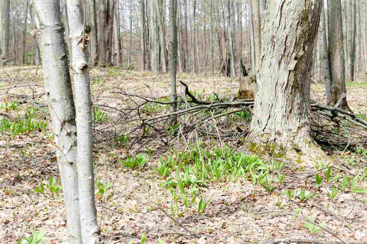 Tbd (Vacant) W Clute Road Boyne City MI 49712