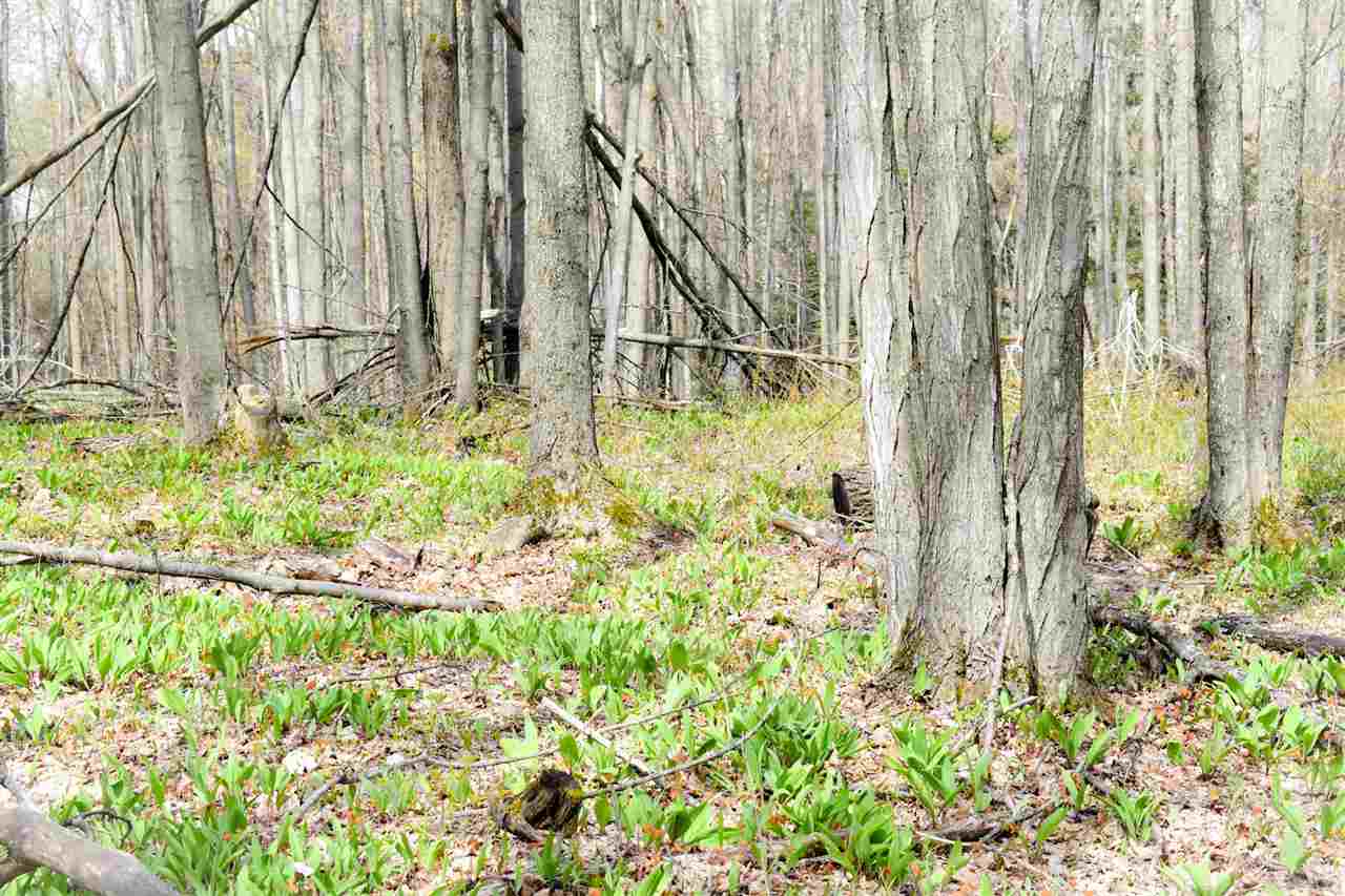 Tbd (Vacant) W Clute Road Boyne City MI 49712