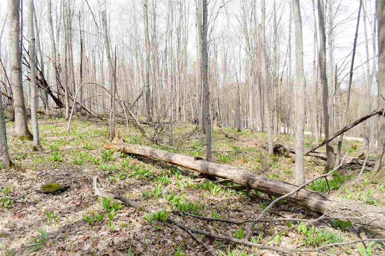 Tbd (Vacant) W Clute Road Boyne City MI 49712