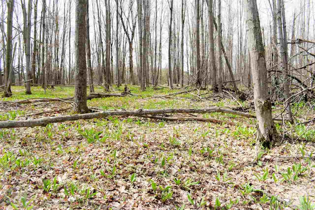 Tbd (Vacant) W Clute Road Boyne City MI 49712