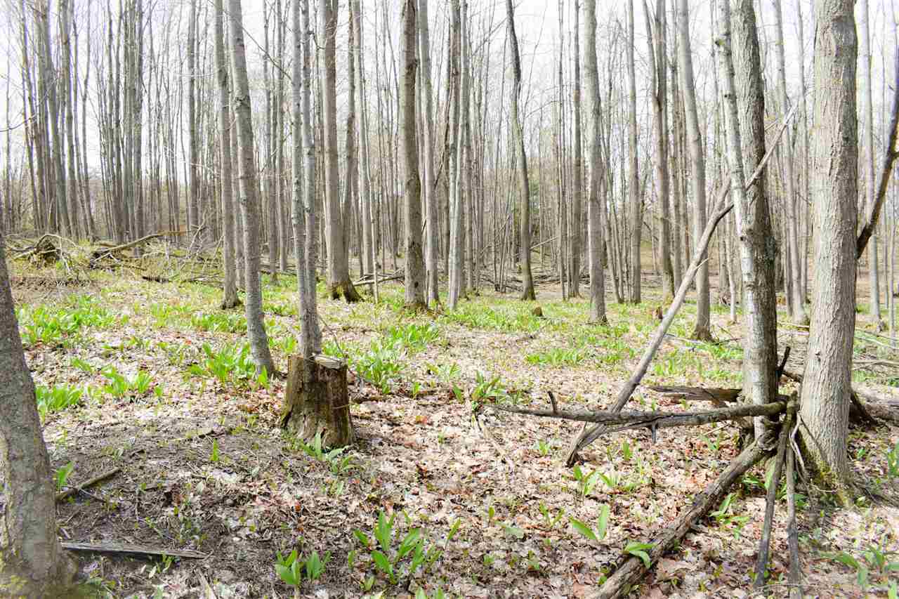 Tbd (Vacant) W Clute Road Boyne City MI 49712