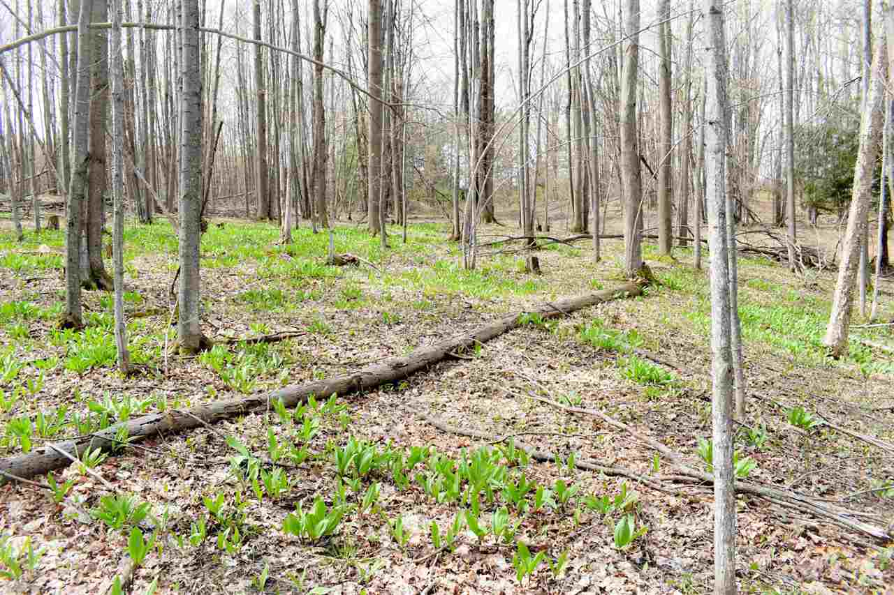 Tbd (Vacant) W Clute Road Boyne City MI 49712