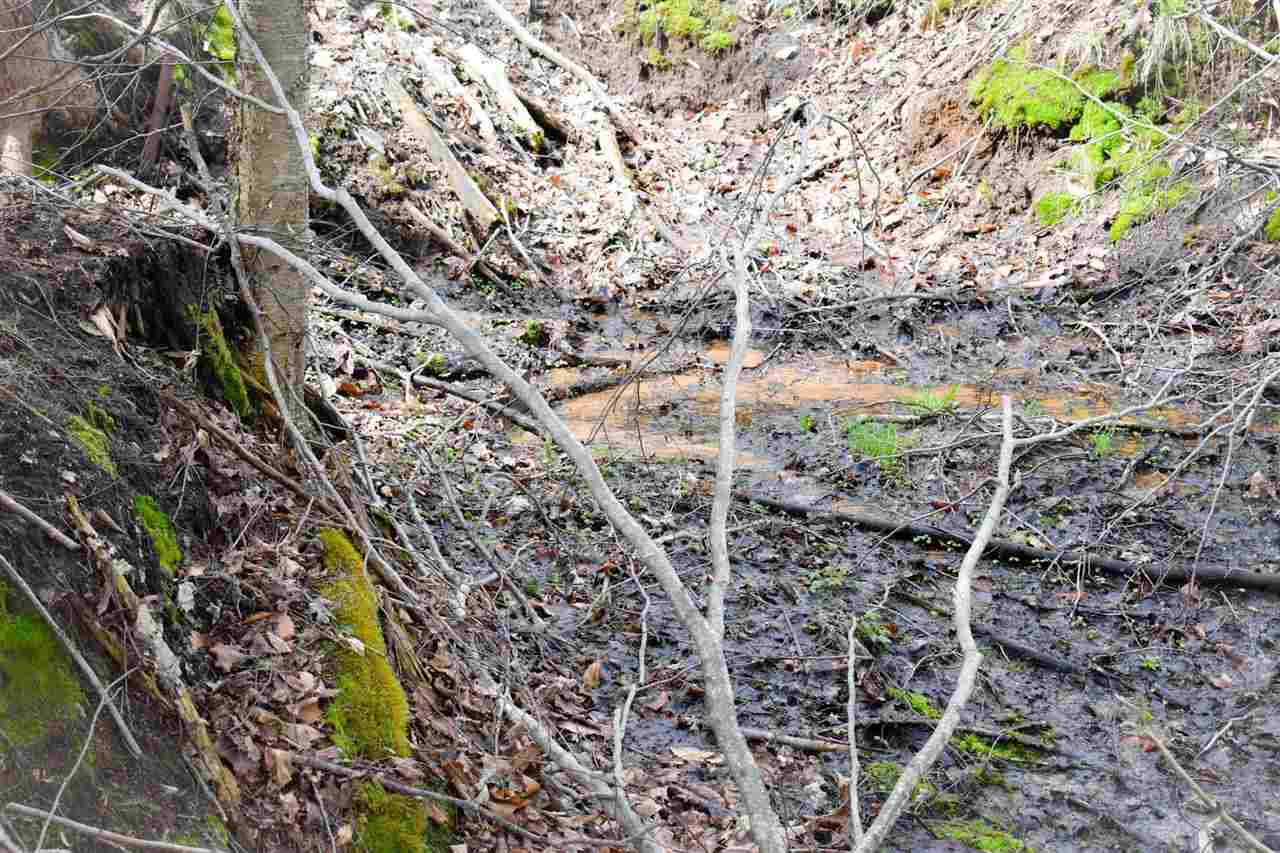 Tbd (Vacant) W Clute Road Boyne City MI 49712