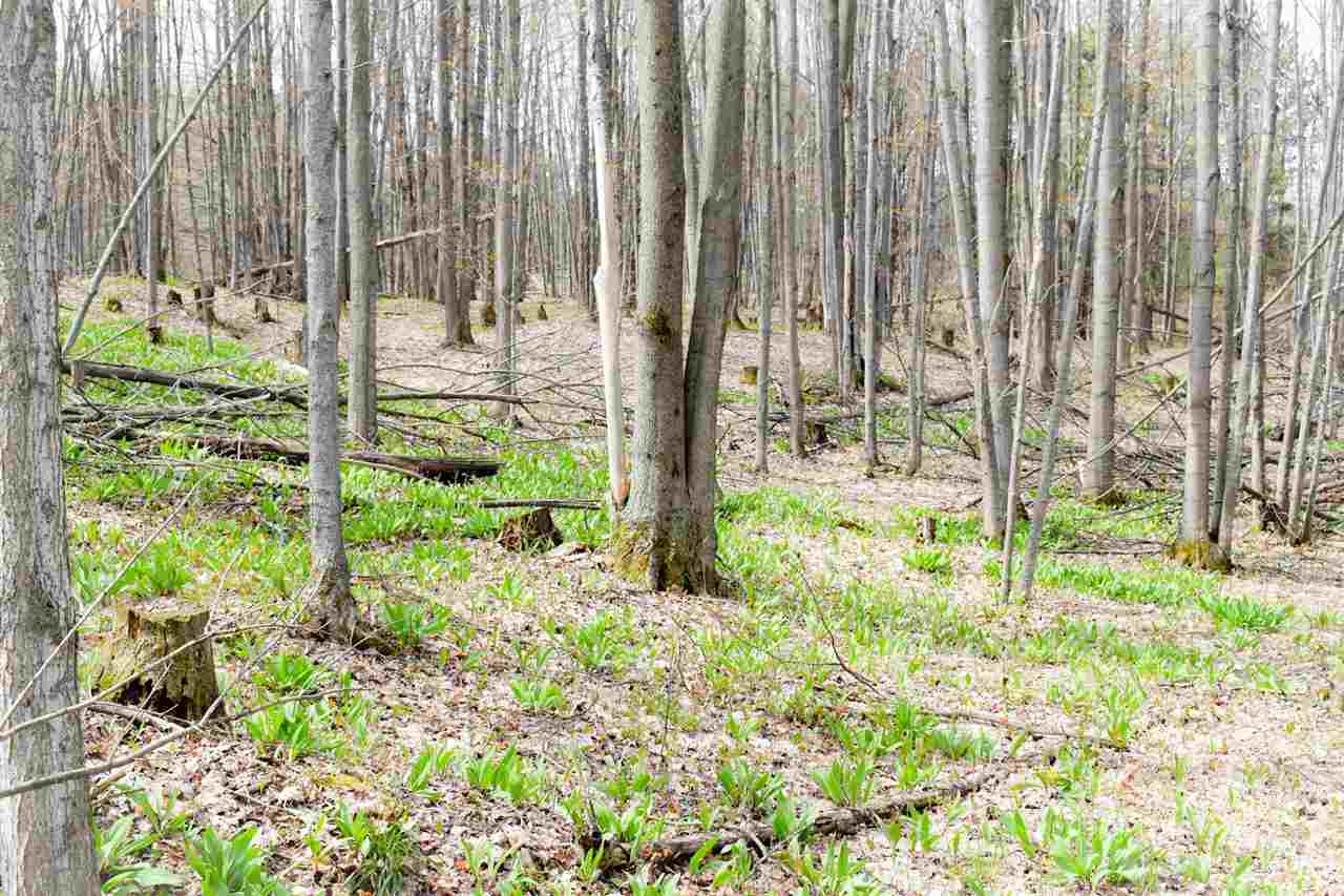 Tbd (Vacant) W Clute Road Boyne City MI 49712