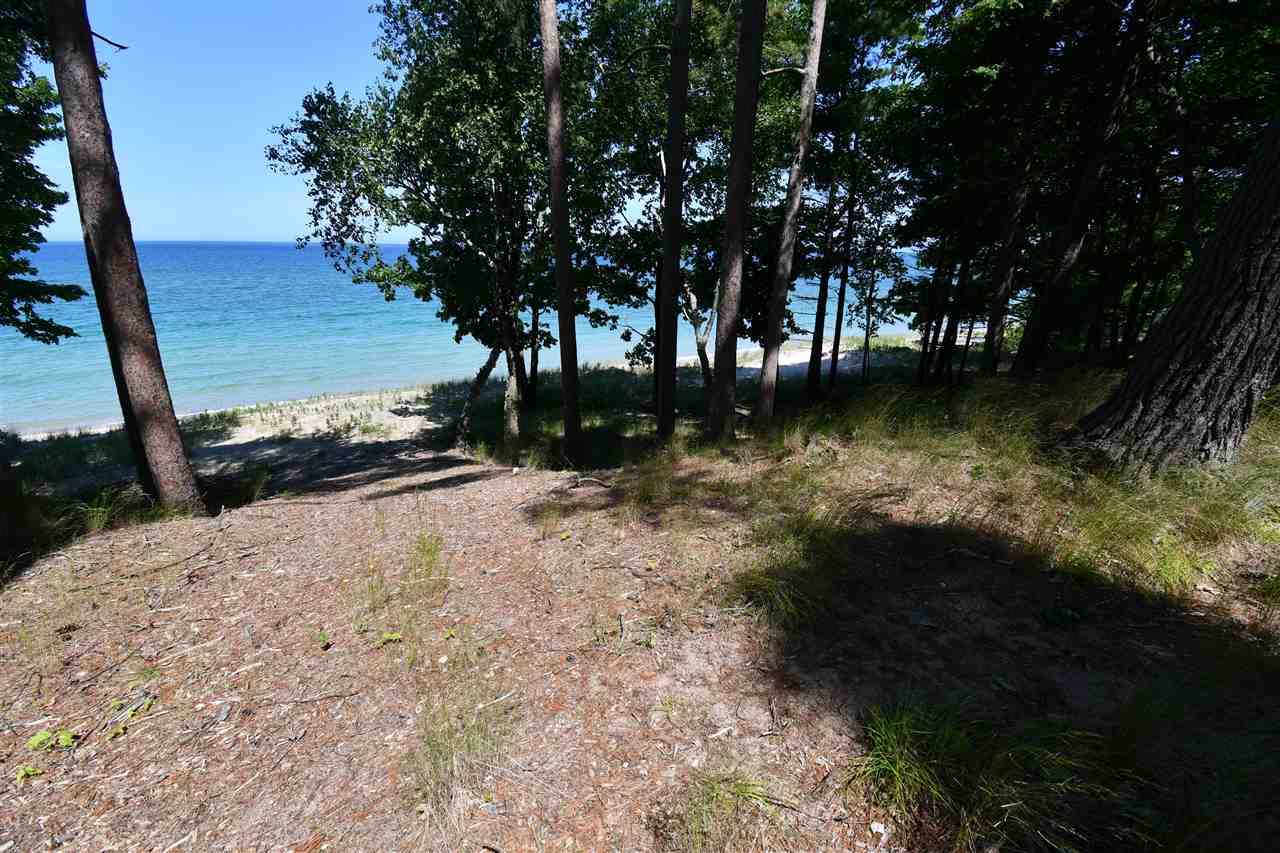 Mount Mcsauba Road Charlevoix MI 49720