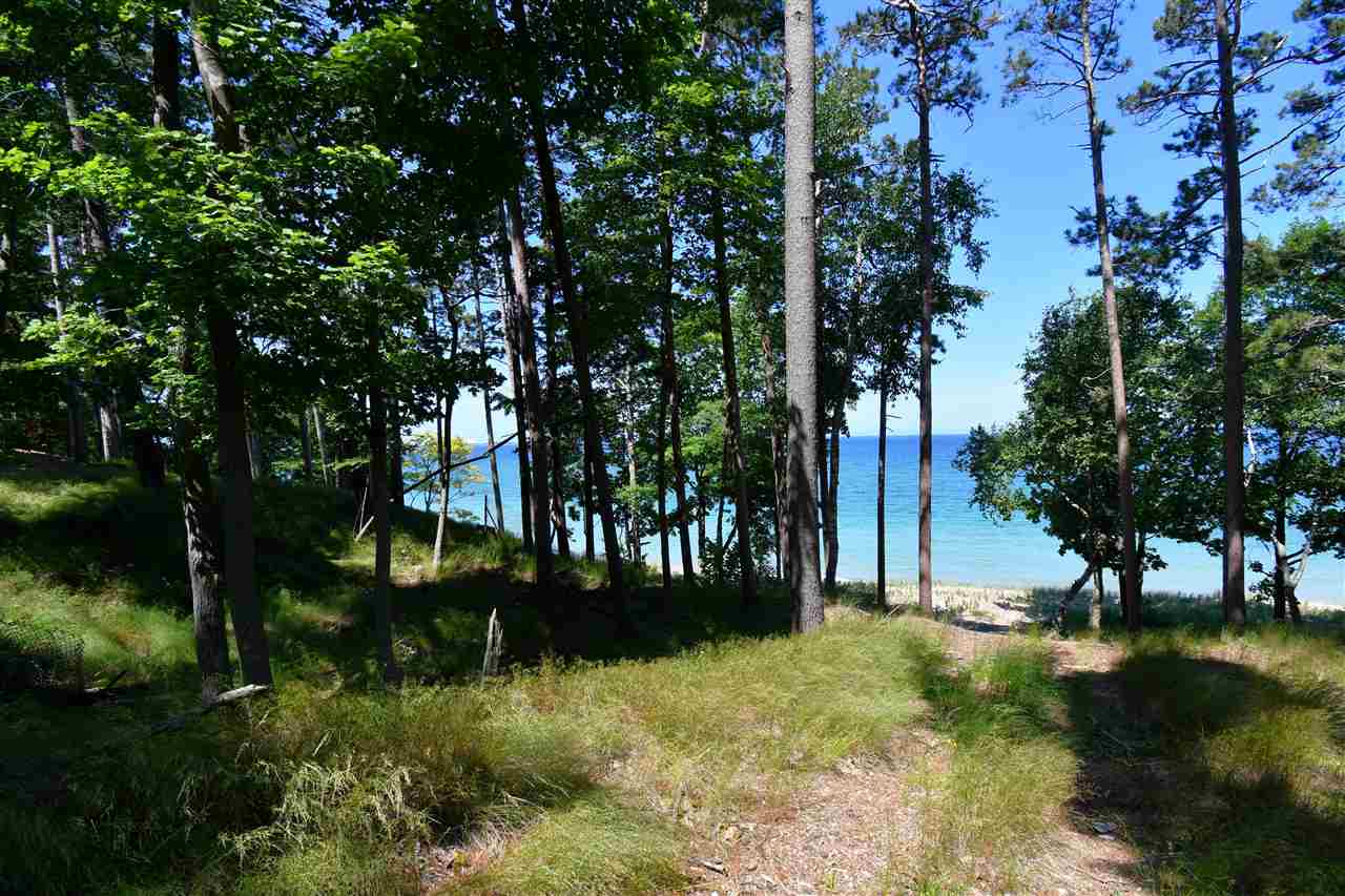 Mount Mcsauba Road Charlevoix MI 49720