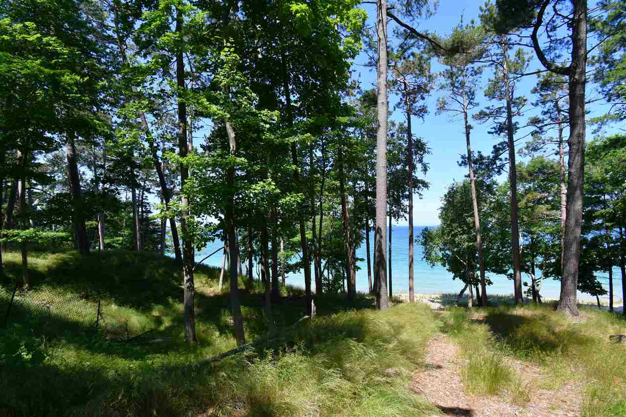 Mount Mcsauba Road Charlevoix MI 49720