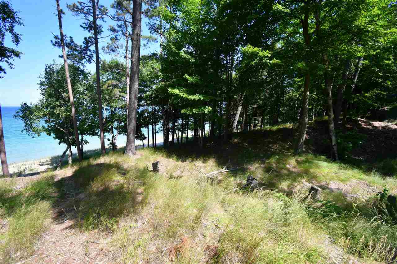 Mount Mcsauba Road Charlevoix MI 49720