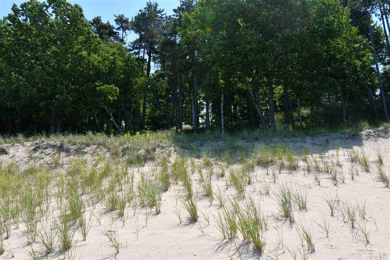 Mount Mcsauba Road Charlevoix MI 49720
