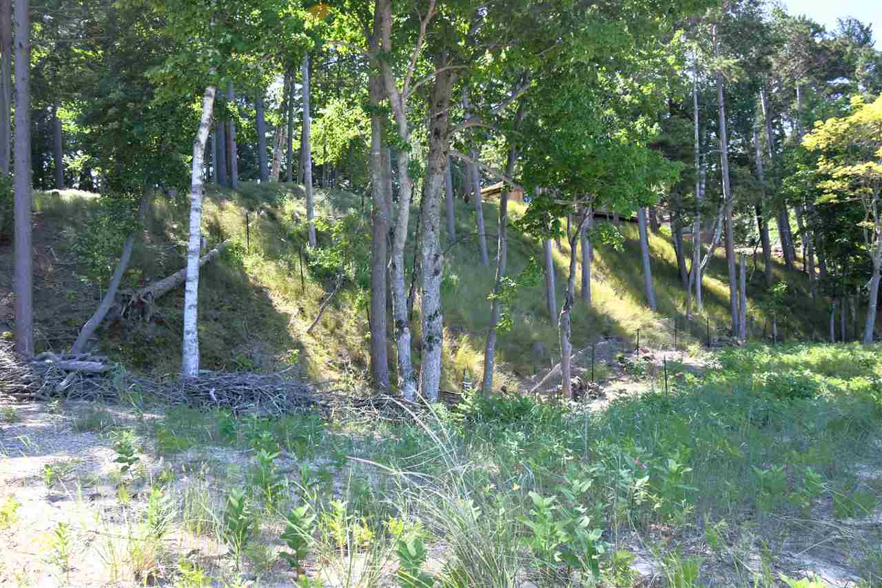 Mount Mcsauba Road Charlevoix MI 49720