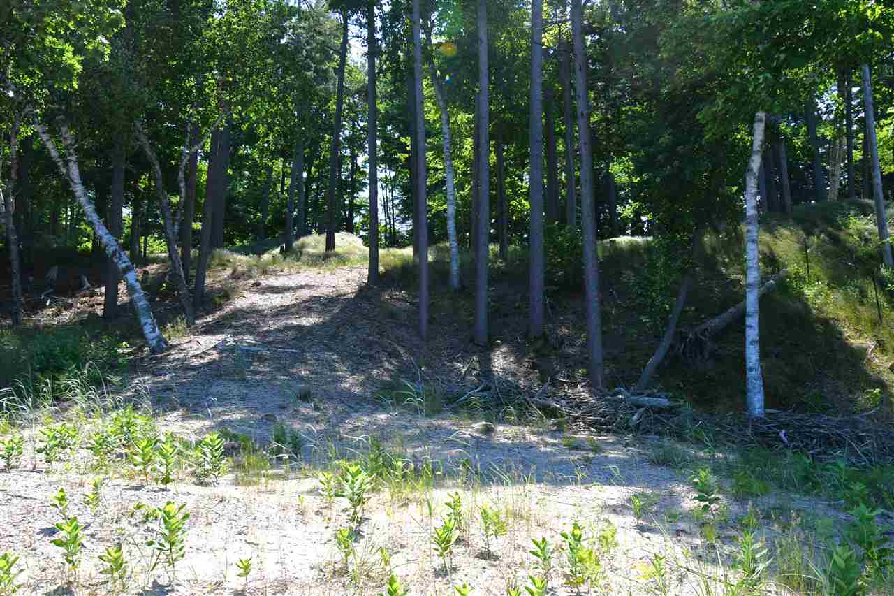 Mount Mcsauba Road Charlevoix MI 49720