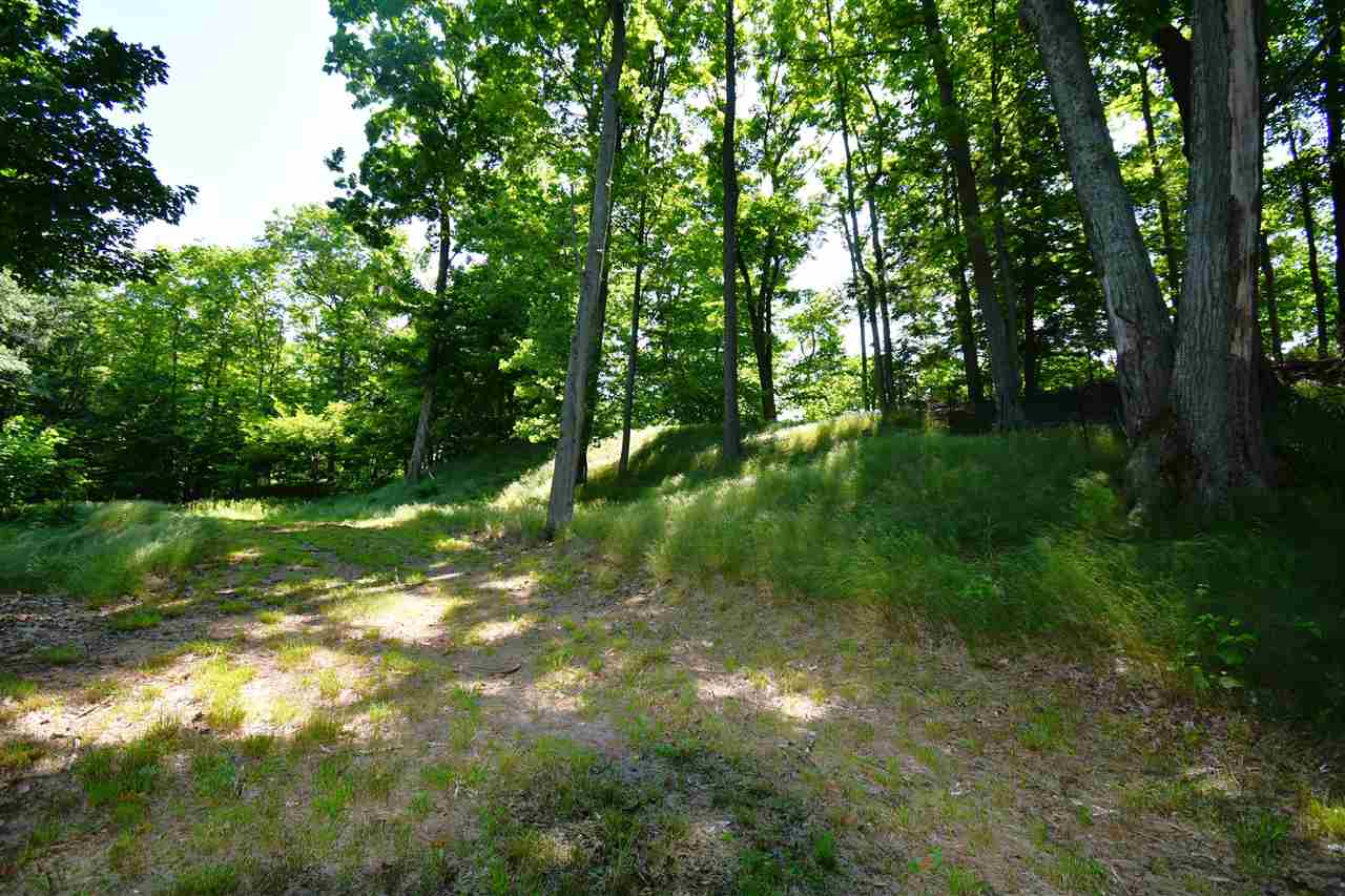 Mount Mcsauba Road Charlevoix MI 49720