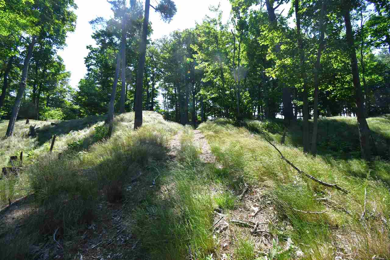 Mount Mcsauba Road Charlevoix MI 49720