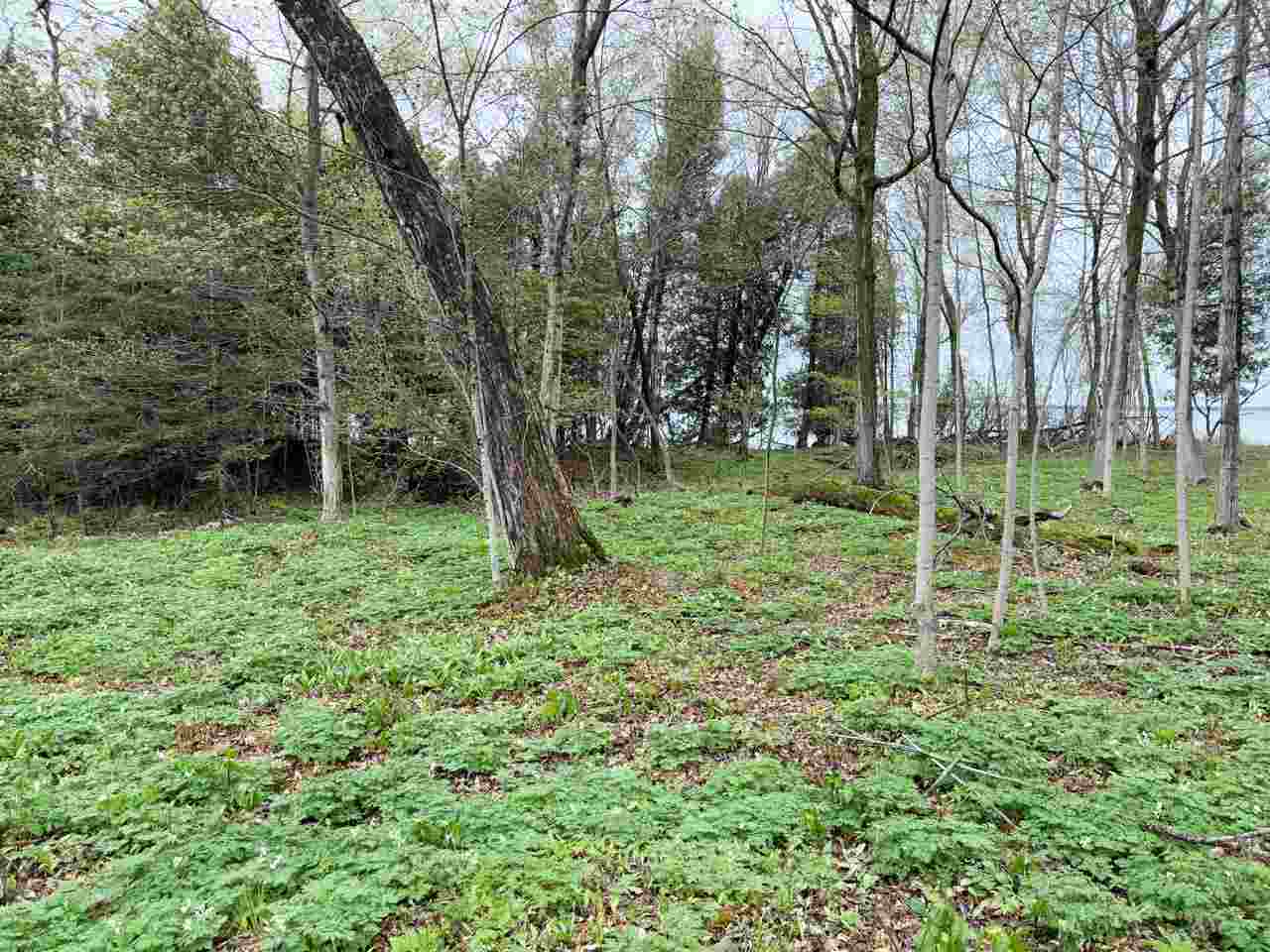 Tbd N Island Woods Road, Lot 464 Beaver Island MI 49782