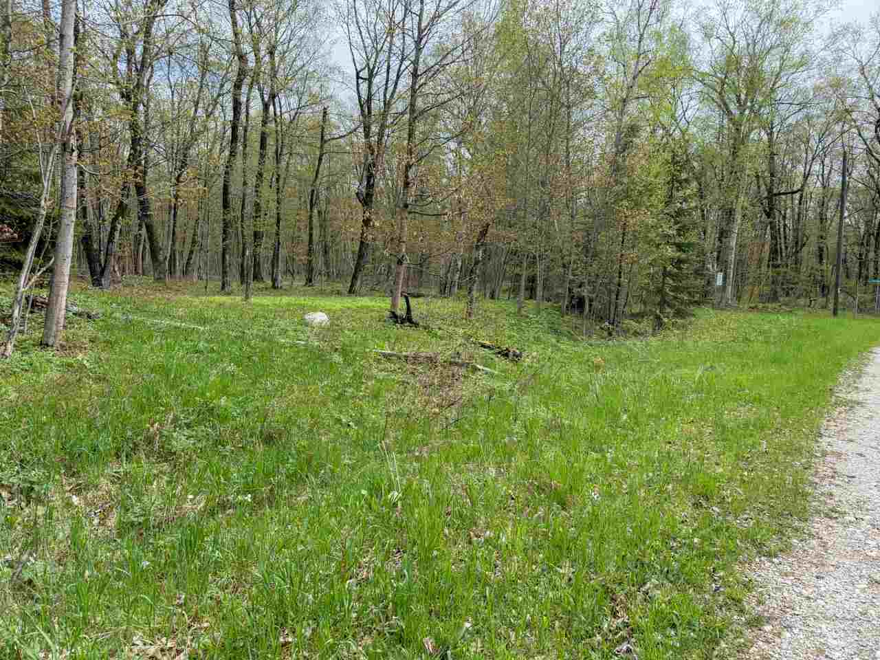 Tbd N Island Woods Road, Lot 464 Beaver Island MI 49782