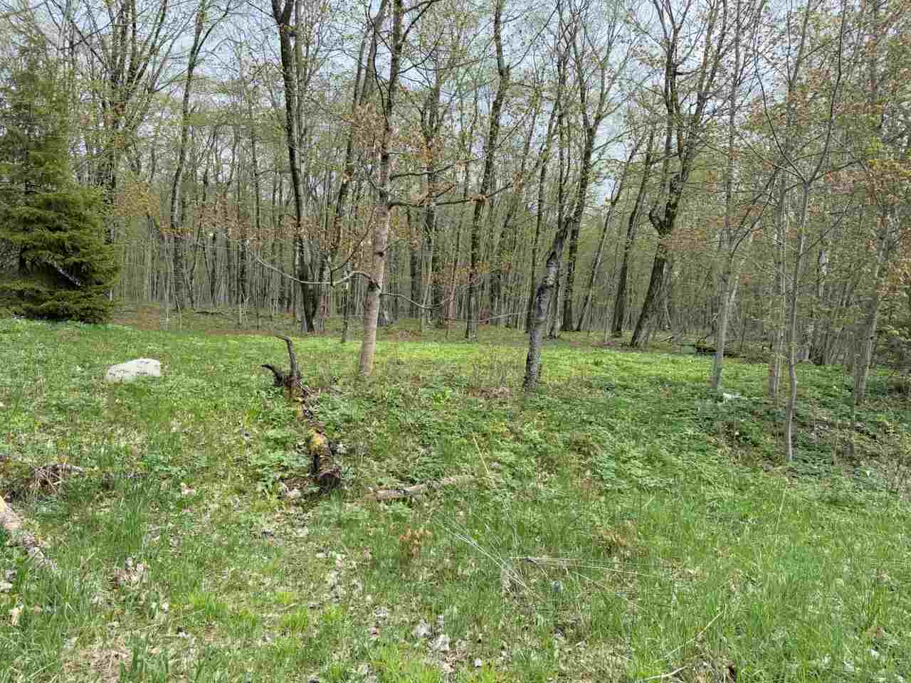 Tbd N Island Woods Road, Lot 464 Beaver Island MI 49782