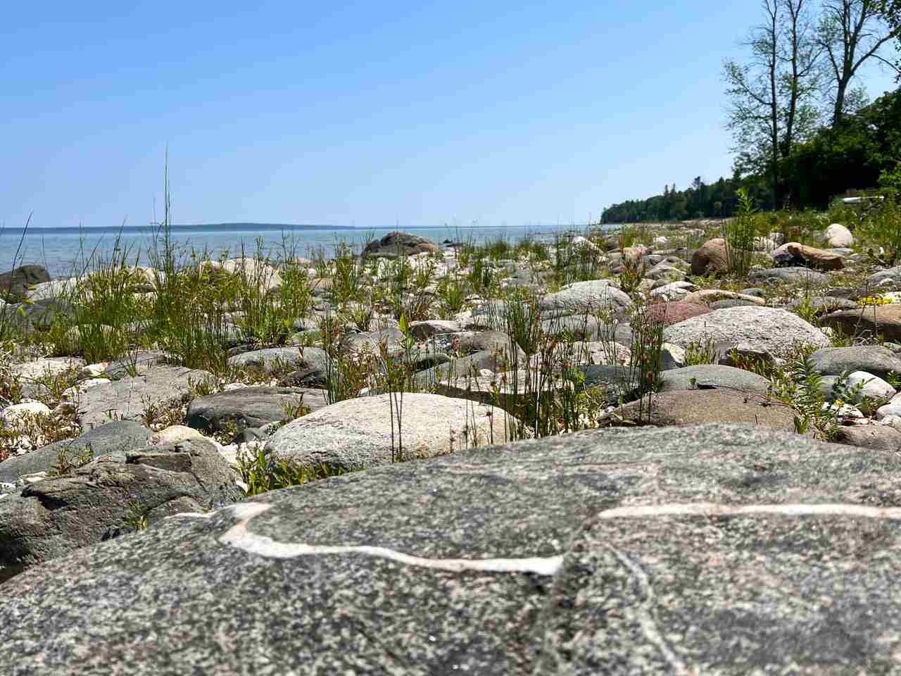 Tbd N Island Woods Road, Lot 464 Beaver Island MI 49782