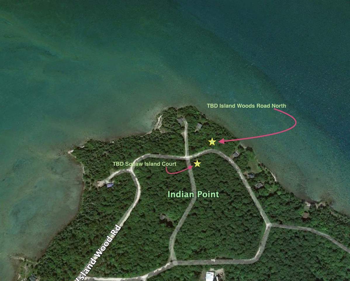 Tbd N Island Woods Road, Lot 464 Beaver Island MI 49782