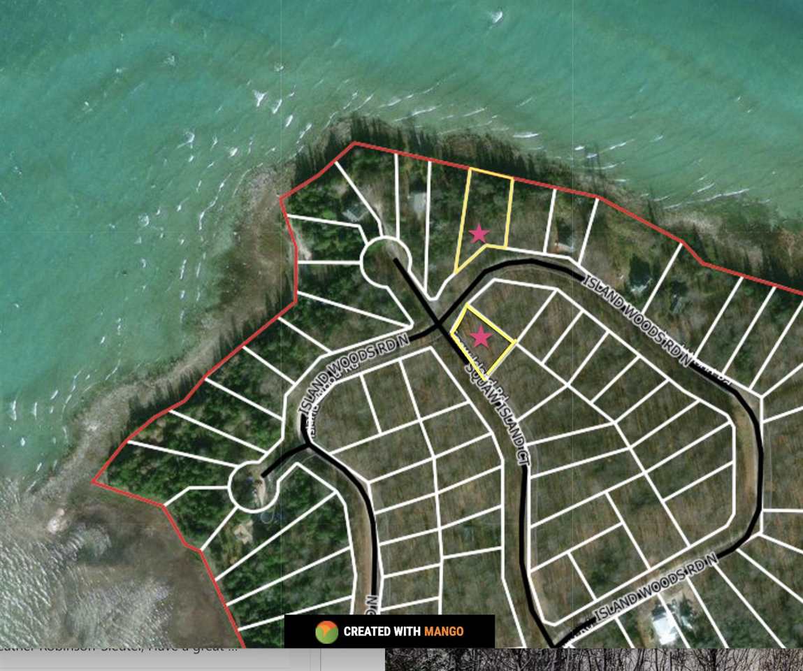 Tbd N Island Woods Road, Lot 464 Beaver Island MI 49782
