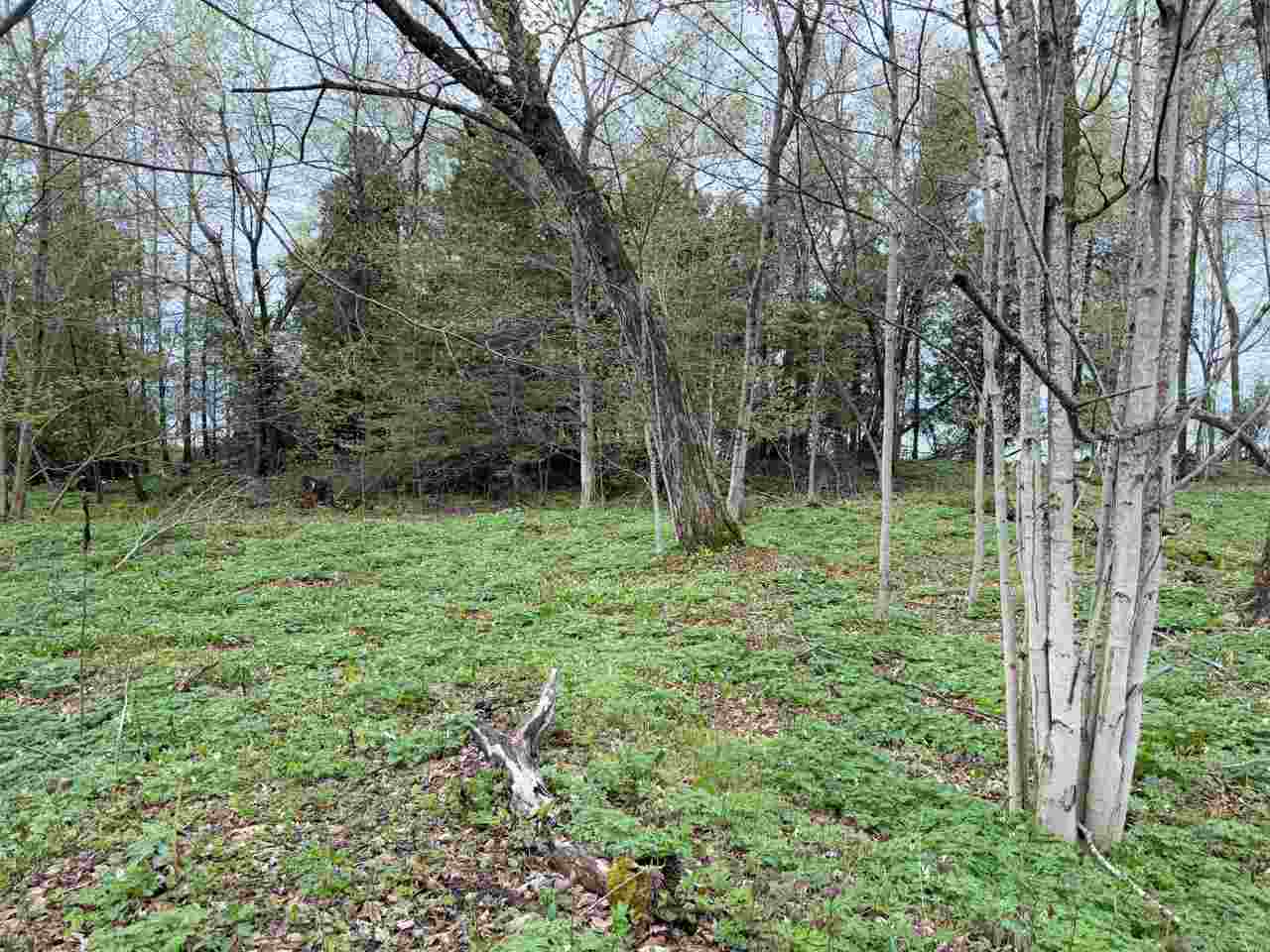 Tbd N Island Woods Road, Lot 464 Beaver Island MI 49782
