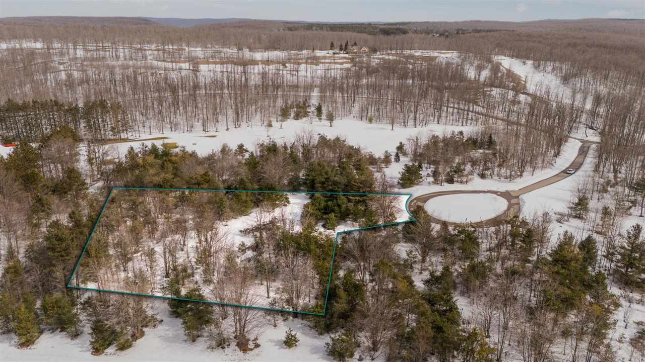 3870 Redlands Mesa Harbor Springs MI 49740