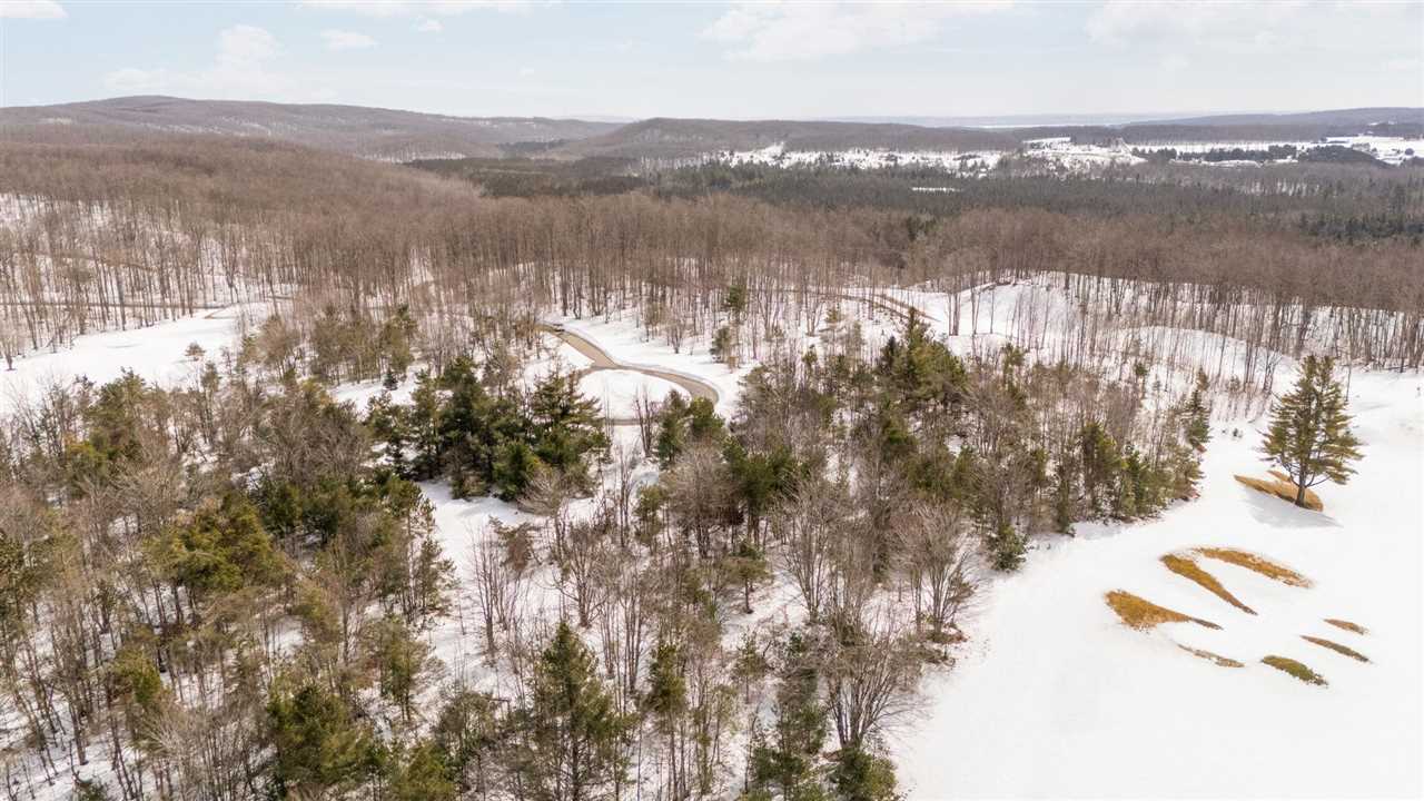 3870 Redlands Mesa Harbor Springs MI 49740