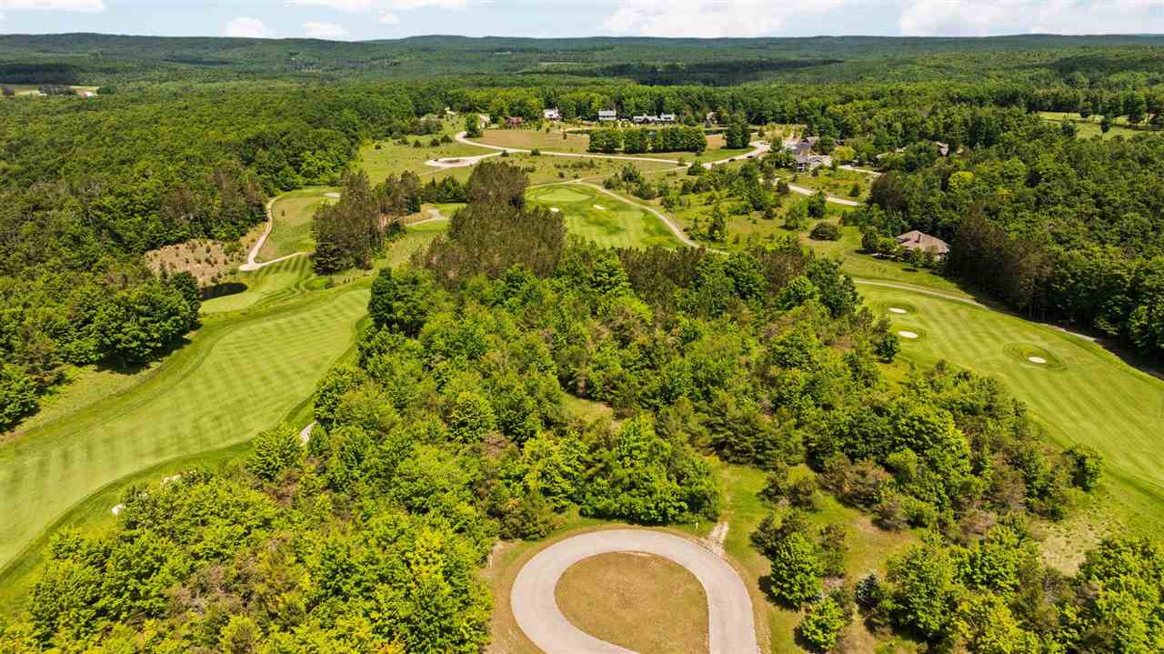 3870 Redlands Mesa Harbor Springs MI 49740