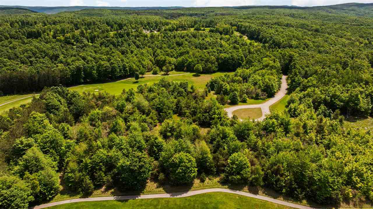 3870 Redlands Mesa Harbor Springs MI 49740