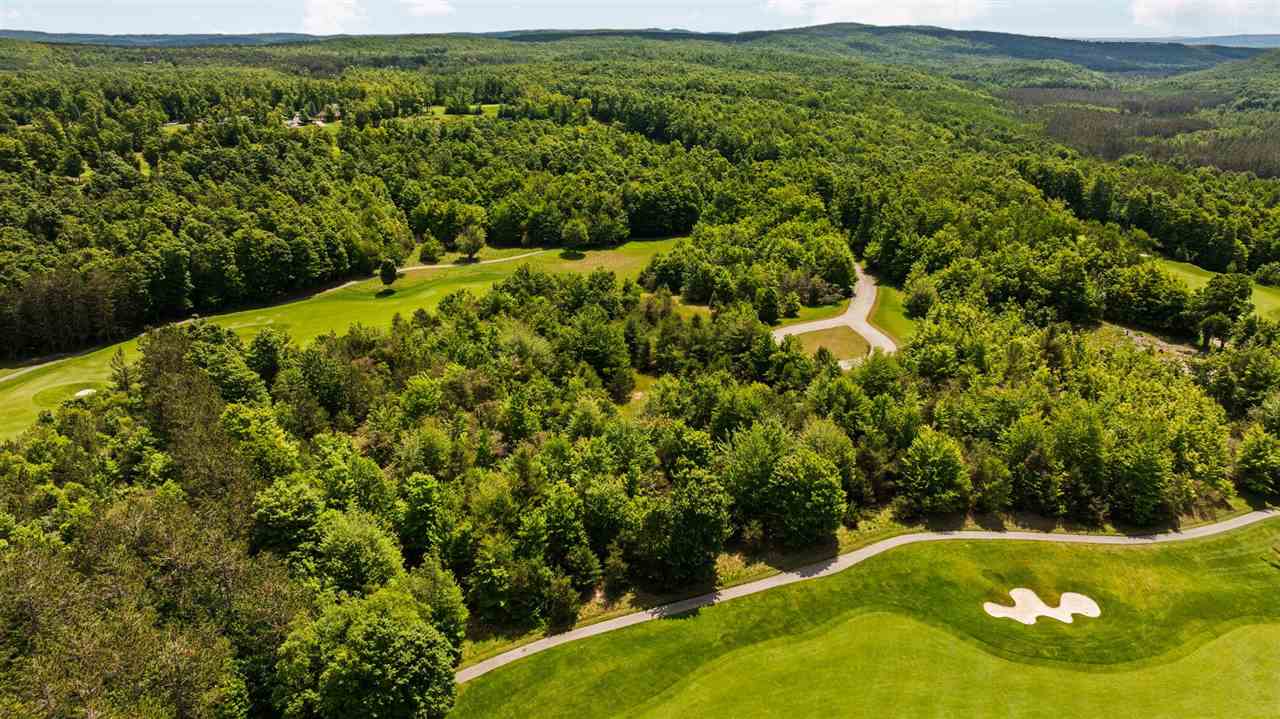 3870 Redlands Mesa Harbor Springs MI 49740