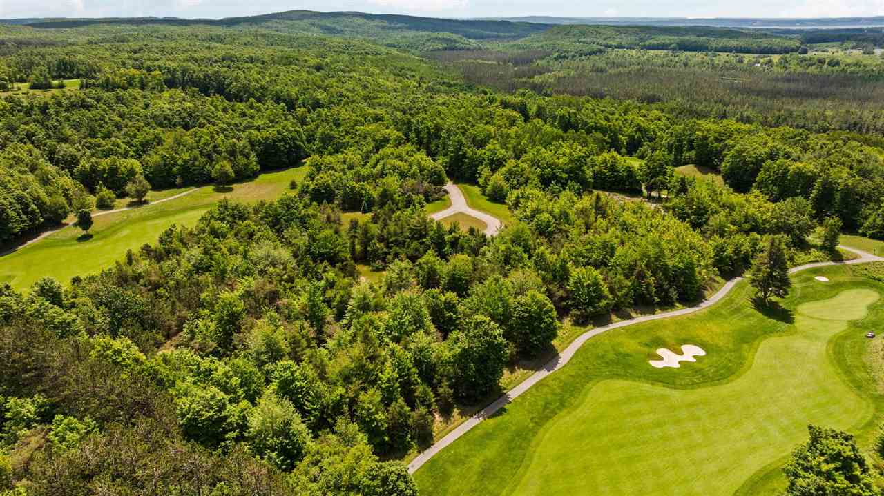 3870 Redlands Mesa Harbor Springs MI 49740
