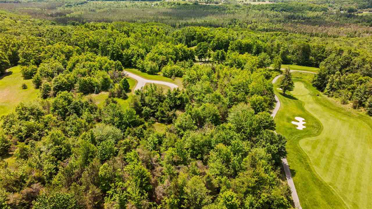 3870 Redlands Mesa Harbor Springs MI 49740