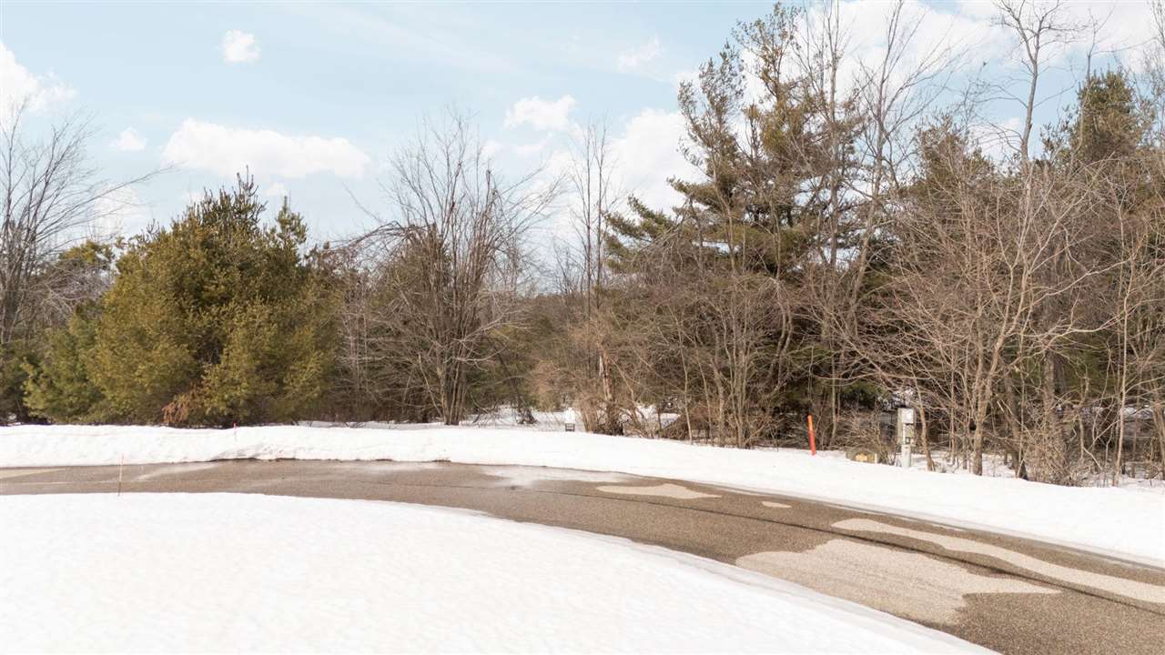 3870 Redlands Mesa Harbor Springs MI 49740