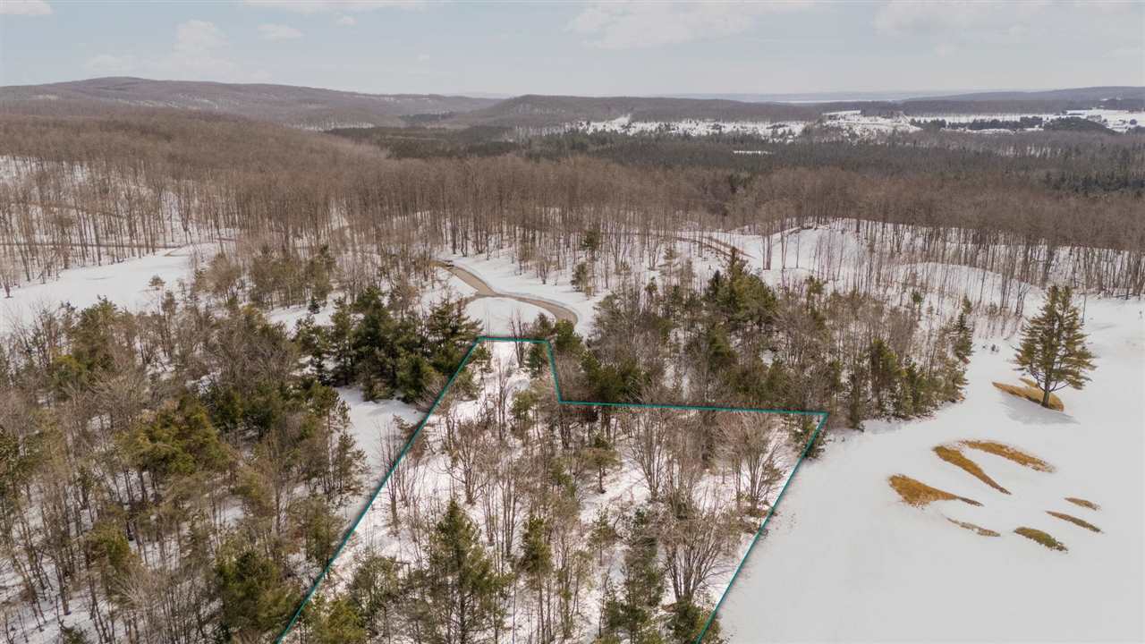 3870 Redlands Mesa Harbor Springs MI 49740