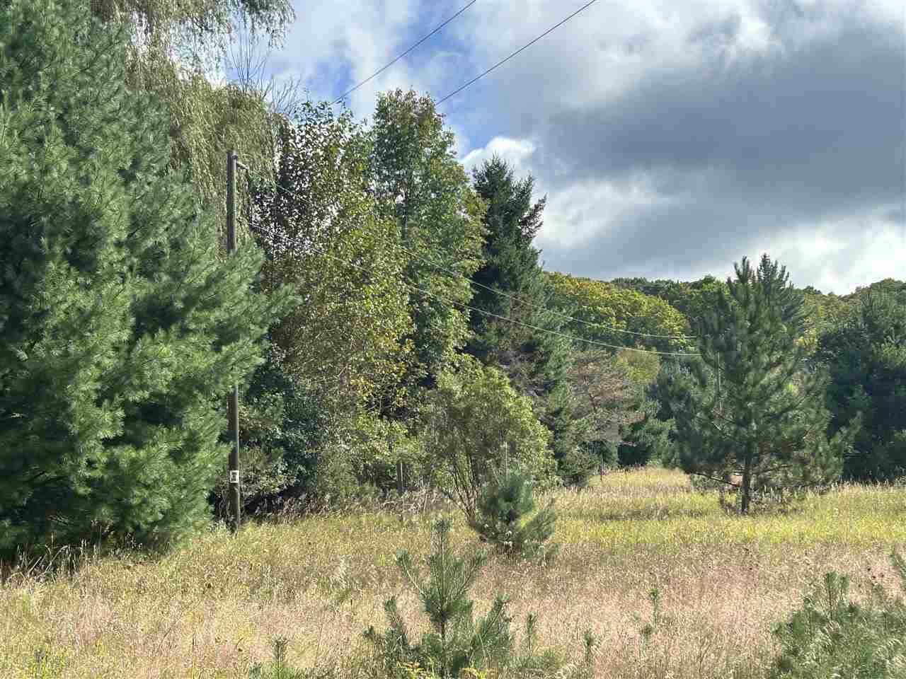 Tbd Mount Bliss Road East Jordan MI 49727