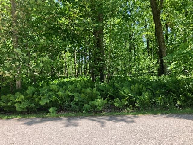 Tbd Maple Isle Court Alanson MI 49706