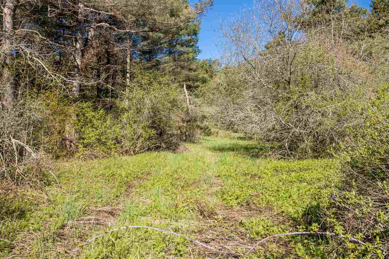7309 Rains Road Ellsworth MI 49729