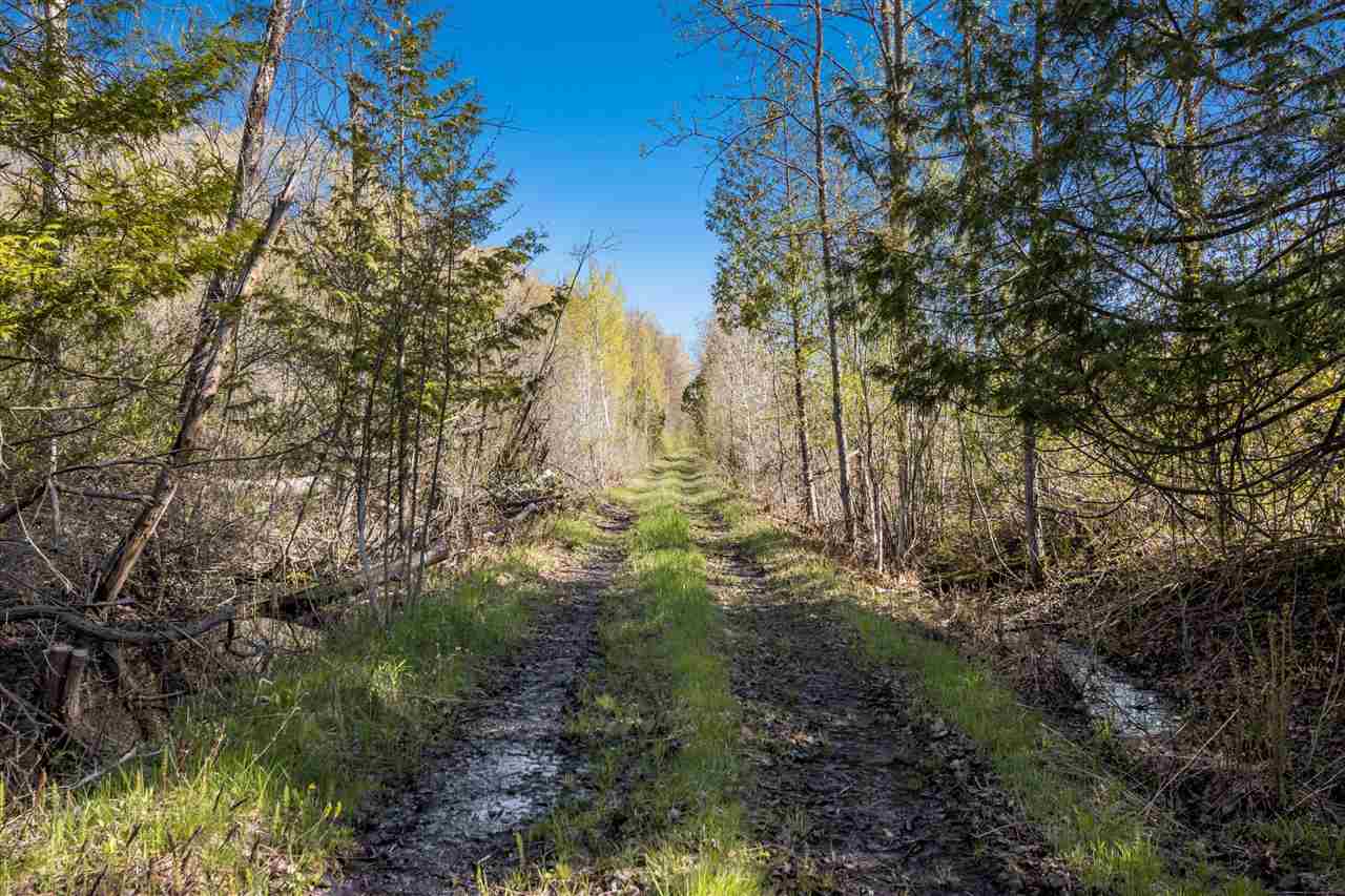 7309 Rains Road Ellsworth MI 49729