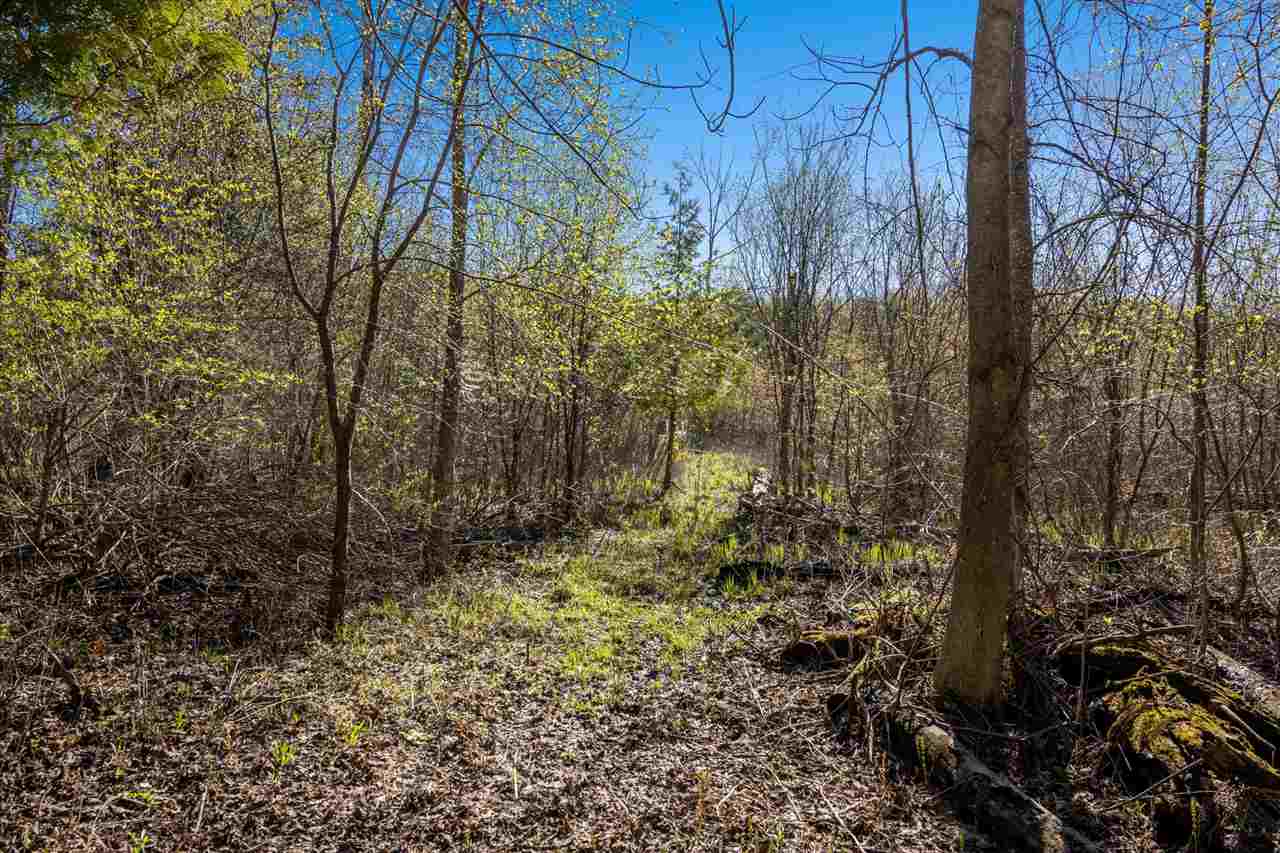 7309 Rains Road Ellsworth MI 49729