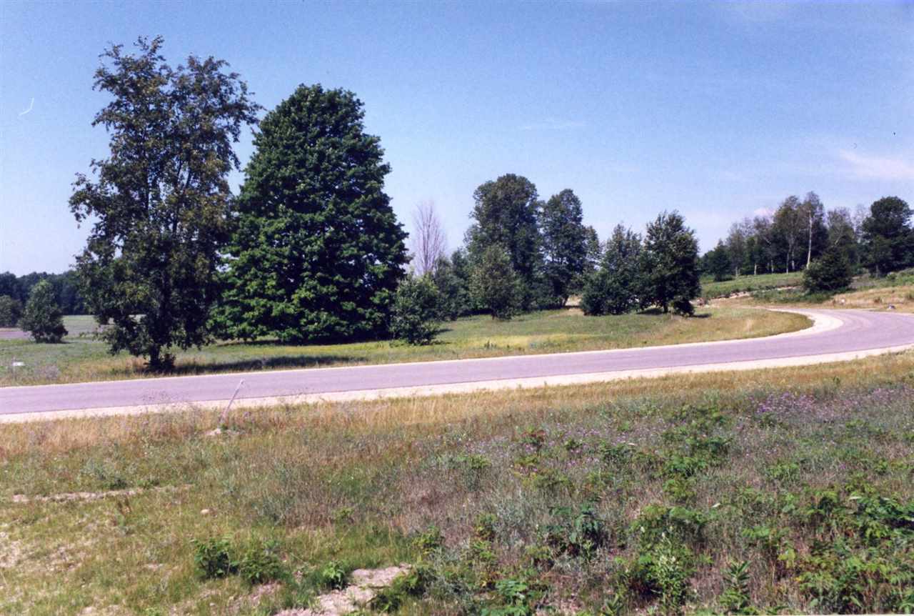 Lot 39 Alden Meadows Alden MI 49612