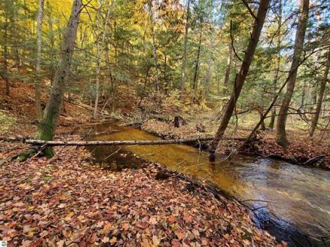 Lot 39 Alden Meadows Alden MI 49612