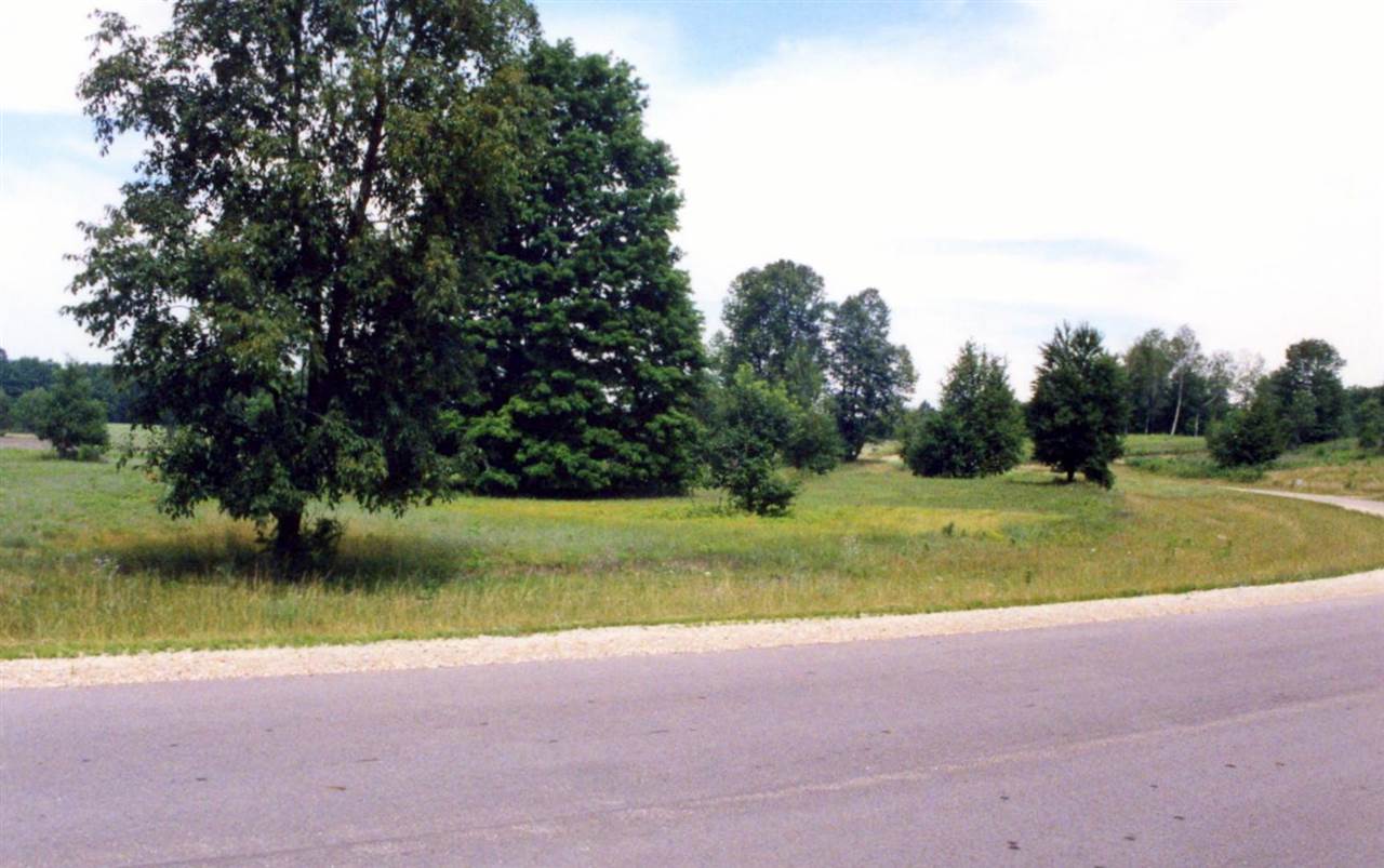 Lot 39 Alden Meadows Alden MI 49612