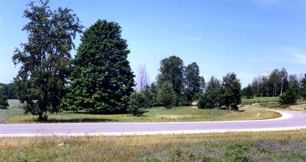 Lot 39 Alden Meadows Alden MI 49612
