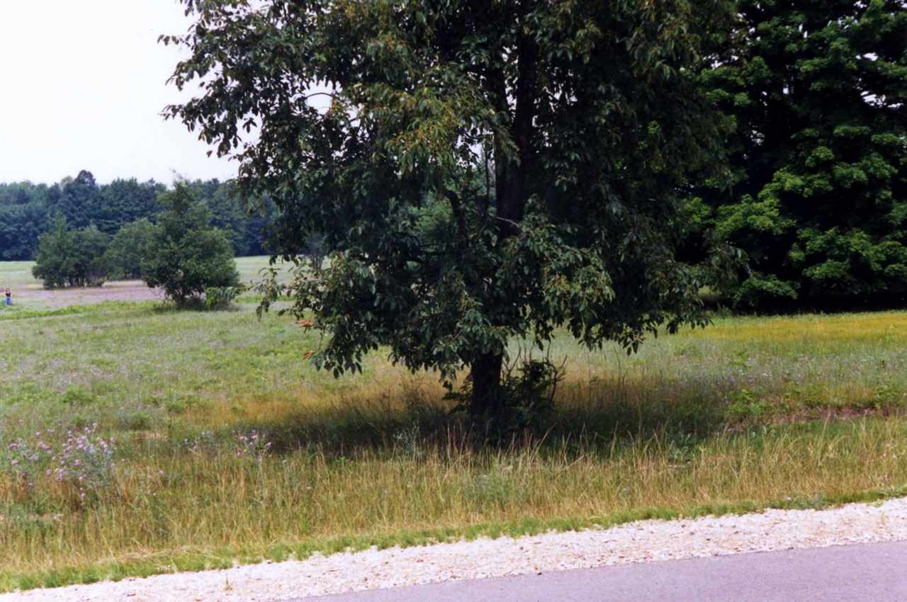 Lot 39 Alden Meadows Alden MI 49612