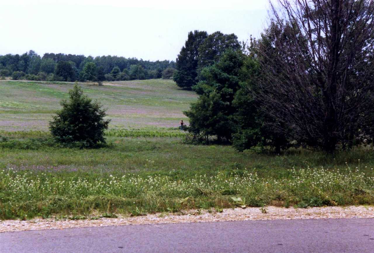 Lot 39 Alden Meadows Alden MI 49612