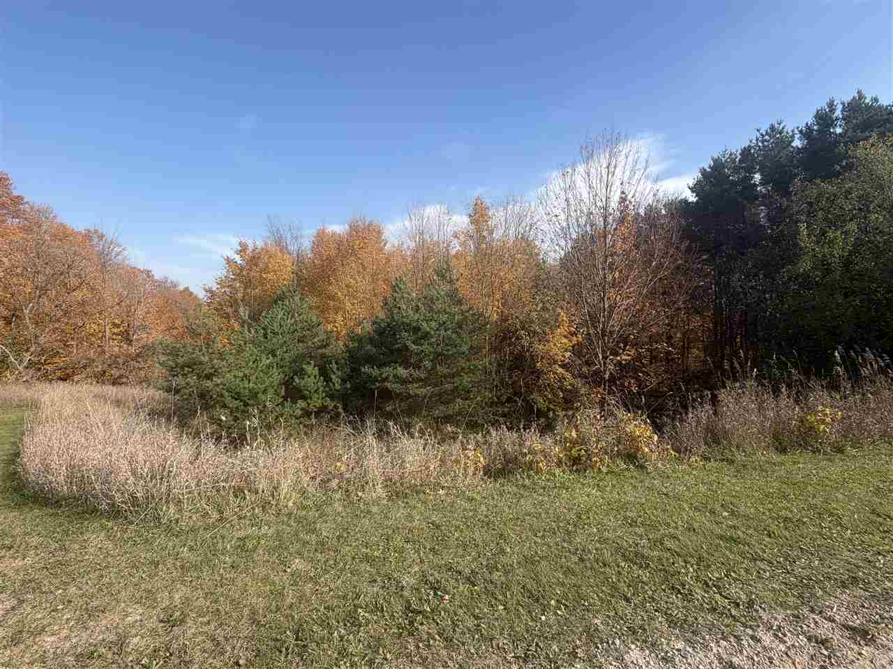 Tbd Homestead Lane East Jordan MI 49727