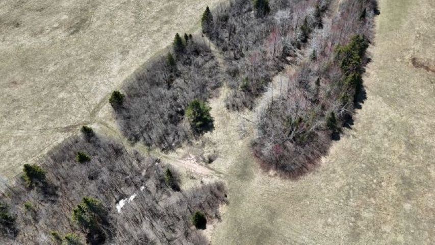 2651 Campbell Road Cheboygan MI 49721