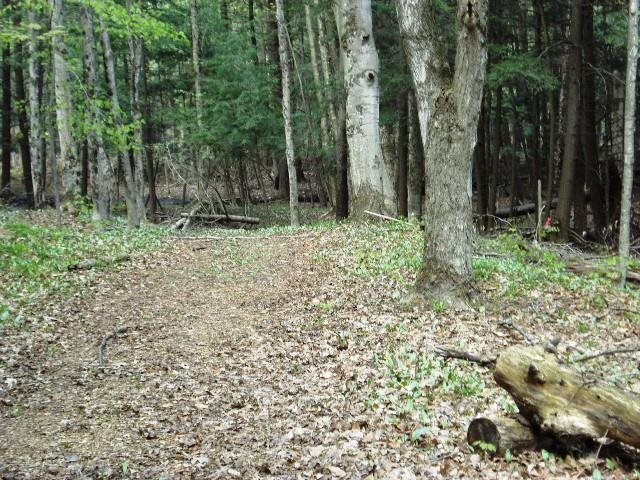 Lot 38 Alden Meadows Alden MI 49612