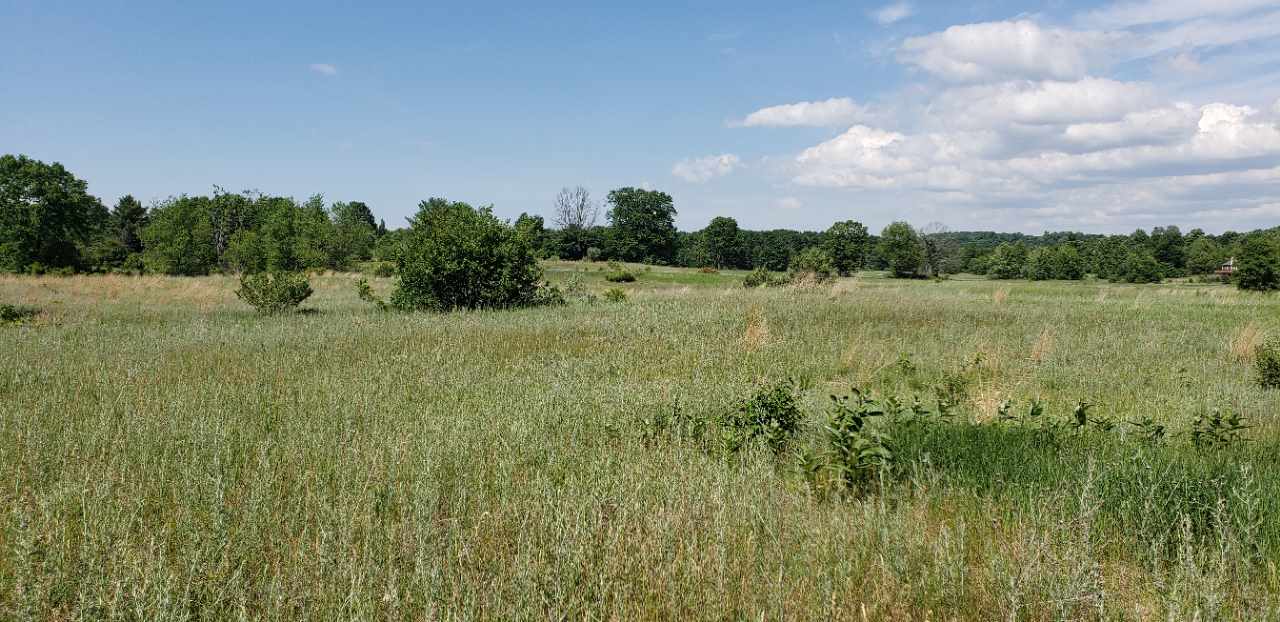 Lot 38 Alden Meadows Alden MI 49612