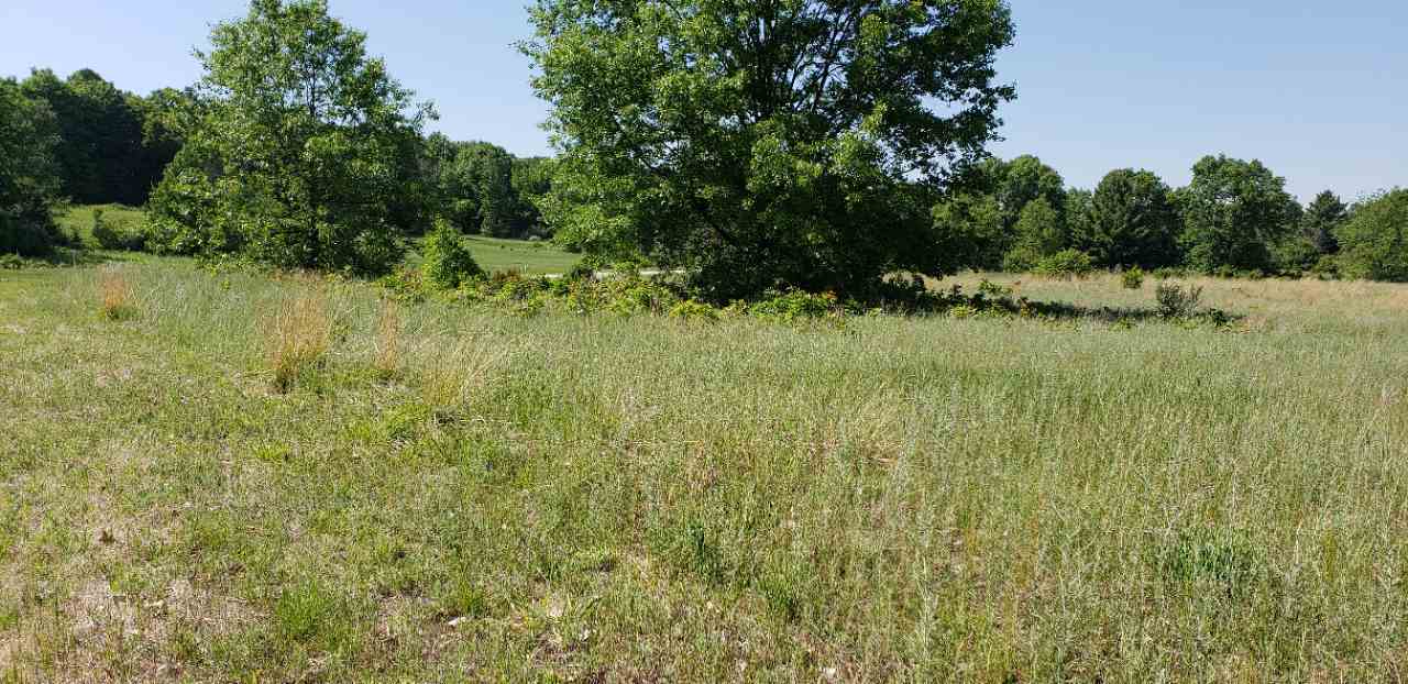 Lot 38 Alden Meadows Alden MI 49612